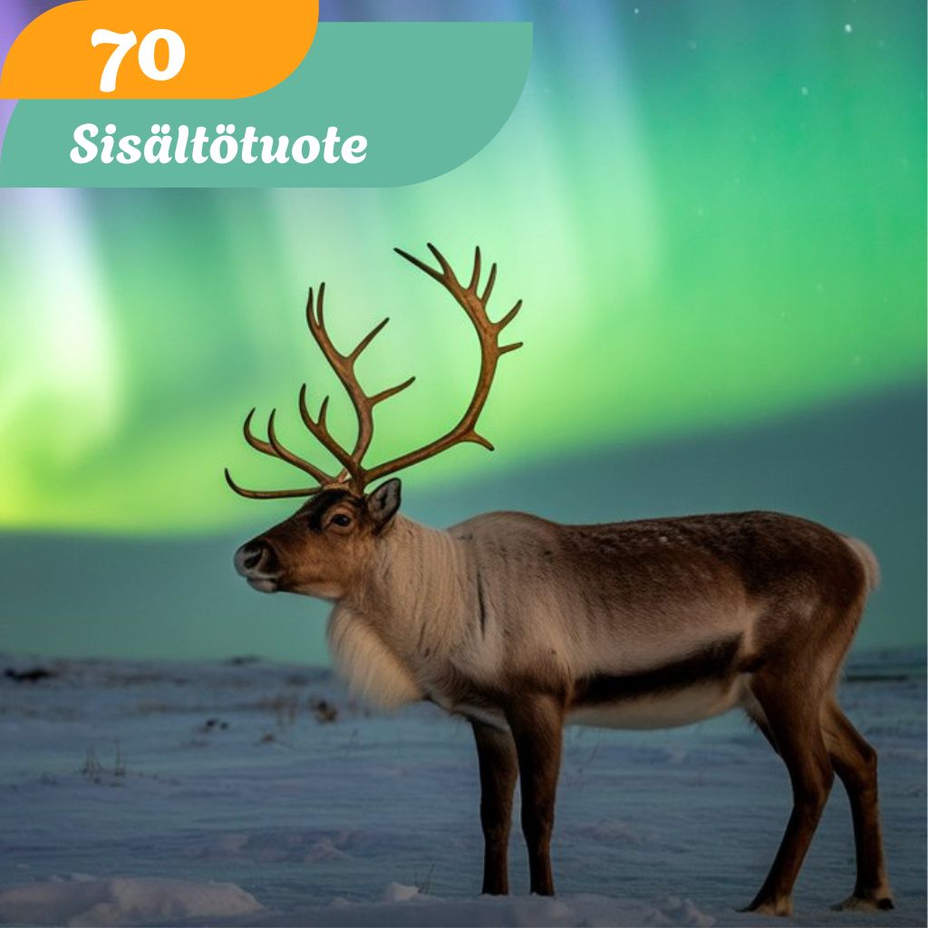 Sampo Lämsä, palvelut, sisältötuote, The Light of The North